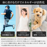 【1-3営業日で発送】CLEMIRA PHOENIX (クルミラフェニックス)ネックストラップ付き