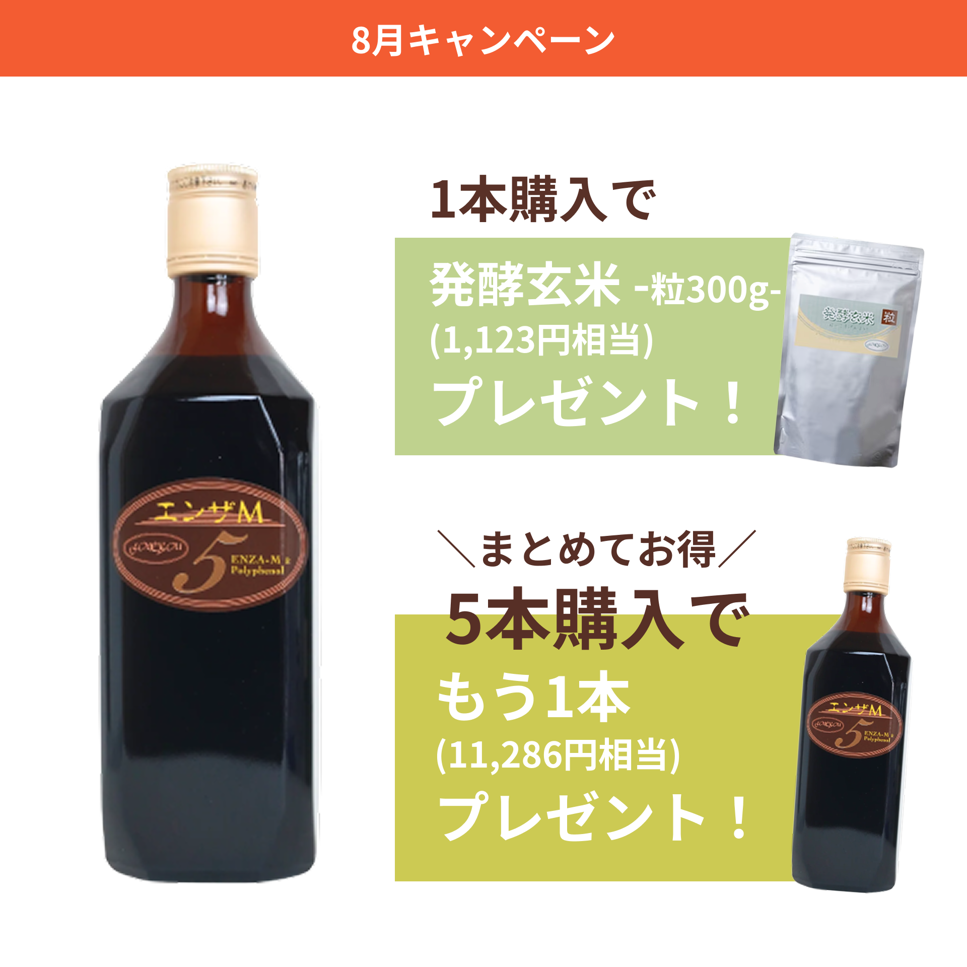 今月のキャンペーン