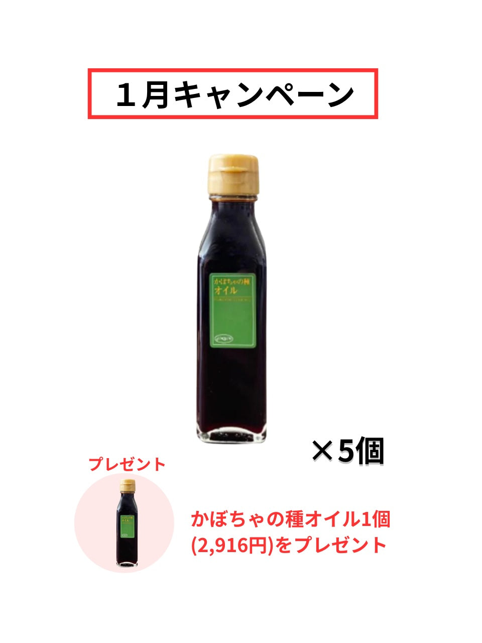 今月のキャンペーン