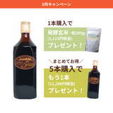 【8月限定】エンザMキャンペーン　〜半期に一度のチャンス！〜