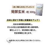 【8月限定】エンザMキャンペーン　〜半期に一度のチャンス！〜