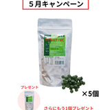 【5月キャンペーン】スピルリナ(粒or粉)を５個ご購入で、さらにもう１個プレゼント🎁